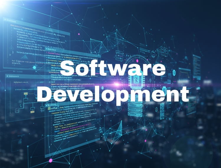 Software development